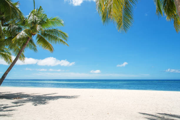 Tropical Paradise Landscape